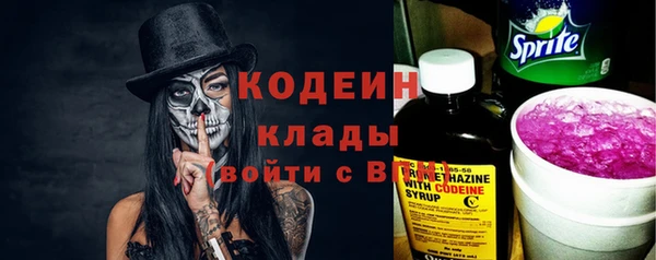 индика Волосово