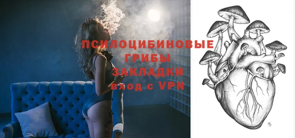индика Волосово