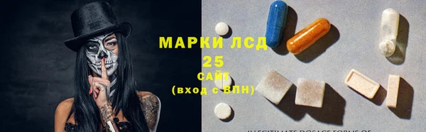 индика Волосово