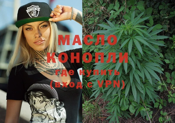 индика Волосово