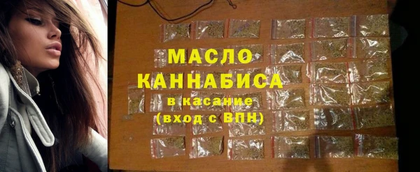 индика Волосово
