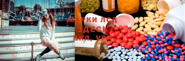 индика Волосово