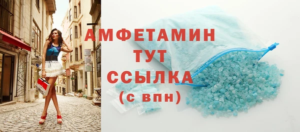 индика Волосово