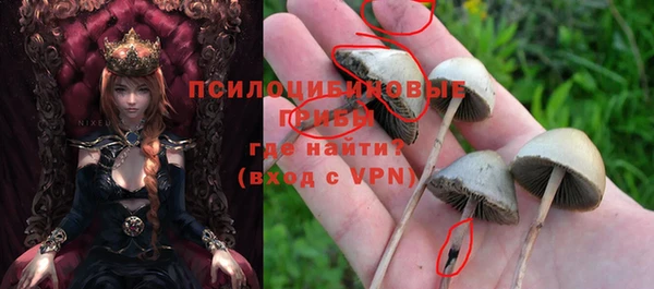 спиды Володарск