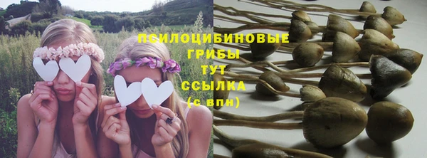 спиды Володарск