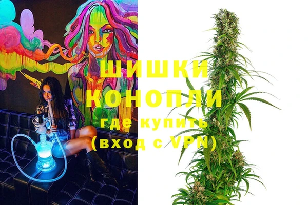 индика Волосово