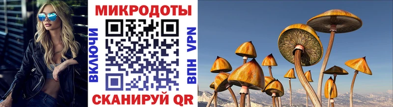 как найти закладки  Вуктыл  Галлюциногенные грибы Cubensis 